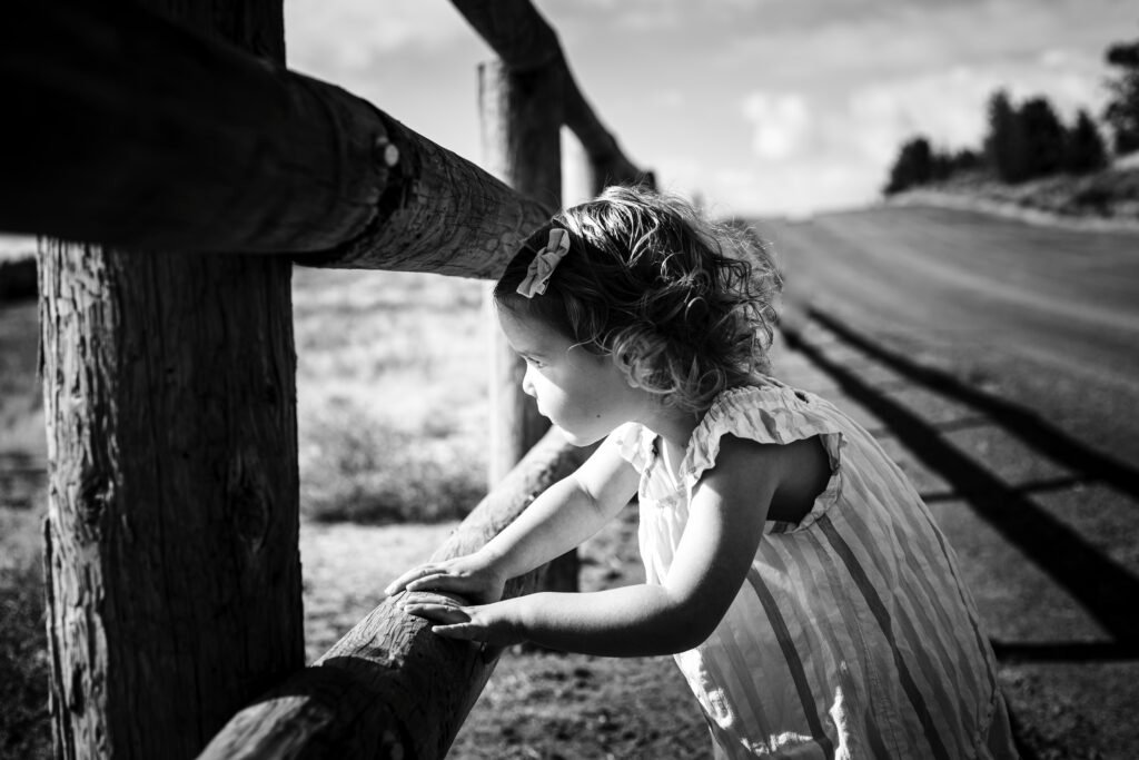 Look Out Look Out 1 1 1024x683