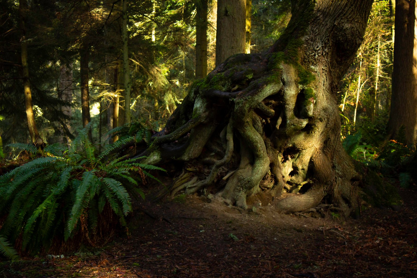 Sisyphus Old To New 4 Scaled